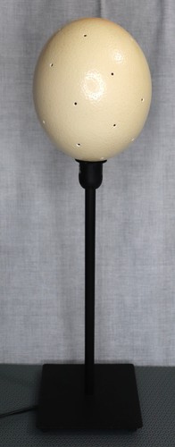 Tischlampe straußenei - tischlampe,